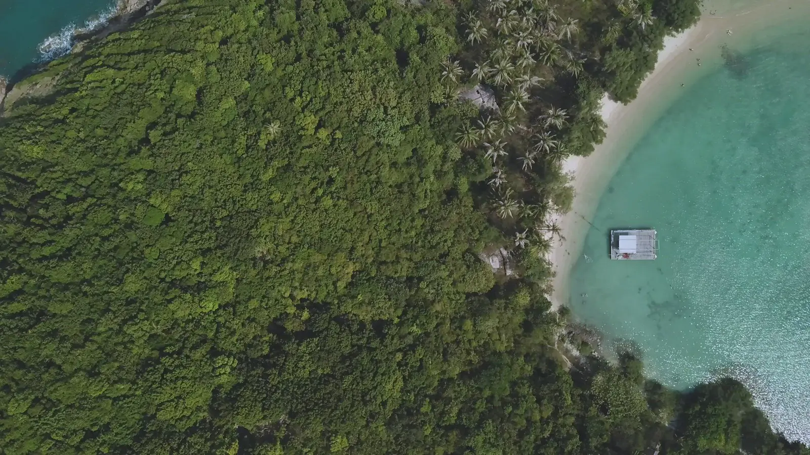 Coastline — the environment responsible sourcing protects