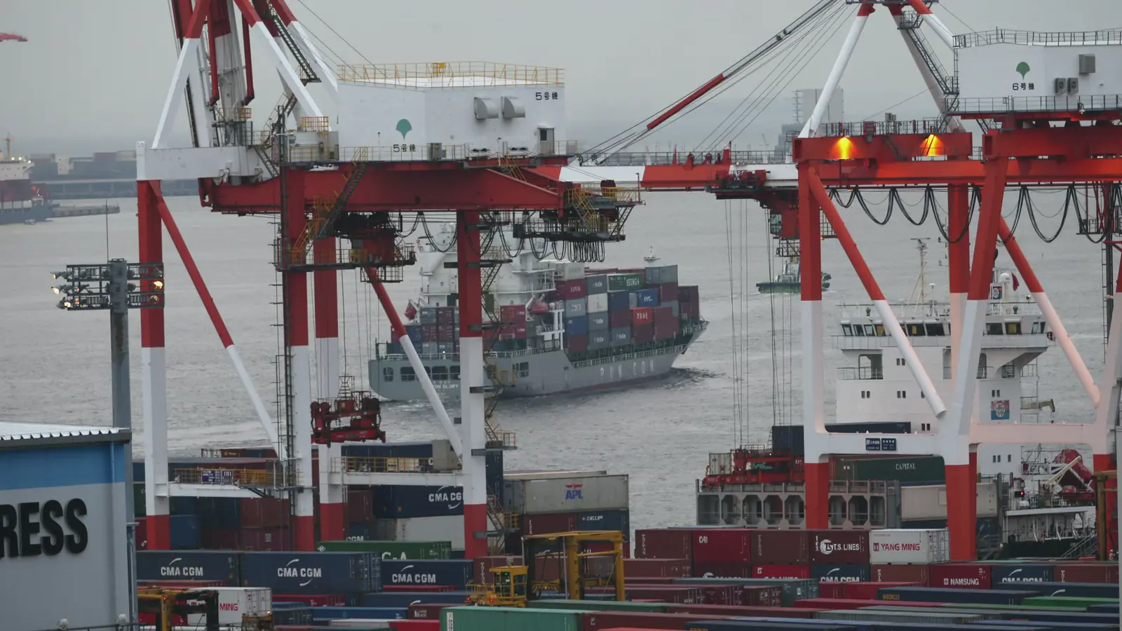 Container cranes at a global shipping port